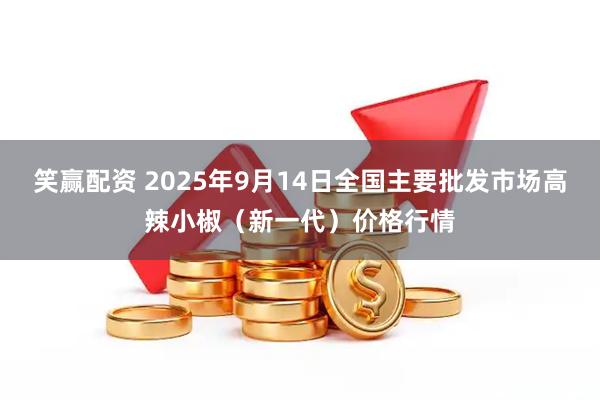 笑赢配资 2025年9月14日全国主要批发市场高辣小椒（新一代）价格行情