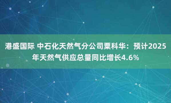 港盛国际 中石化天然气分公司粟科华：预计2025年天然气供应总量同比增长4.6%