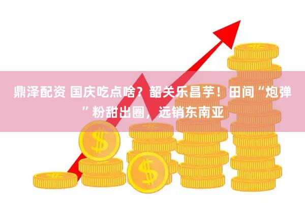 鼎泽配资 国庆吃点啥？韶关乐昌芋！田间“炮弹”粉甜出圈，远销东南亚