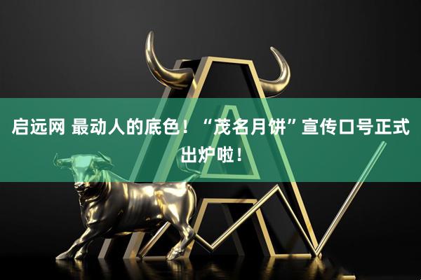 启远网 最动人的底色！“茂名月饼”宣传口号正式出炉啦！