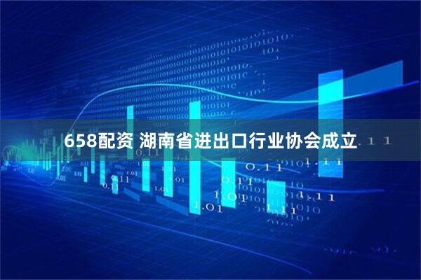 658配资 湖南省进出口行业协会成立