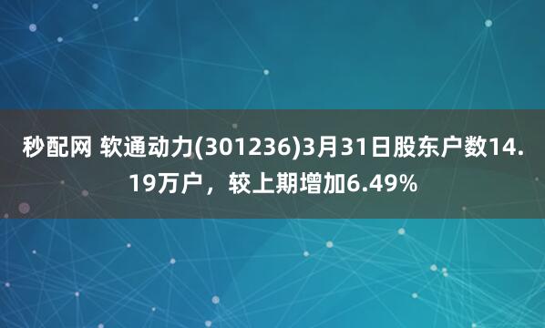 秒配网 软通动力(301236)3月31日股东户数14.19万户，较上期增加6.49%
