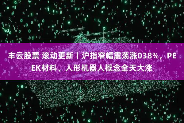 丰云股票 滚动更新丨沪指窄幅震荡涨038%，PEEK材料、人形机器人概念全天大涨